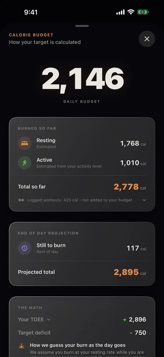 An explainer sheet breaking a daily calorie target down into resting burn, activity and the chosen deficit.